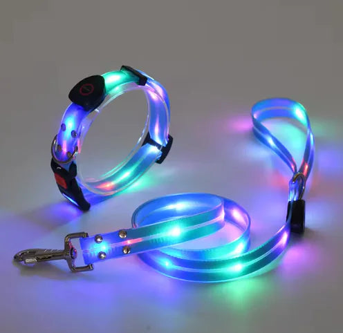 dog glow collars
glow collar dog
led dog collar
glow in the dark dog collar
led collar dog
dog light collar
lighted dog collar
light up collars for dogs
light up dog collar