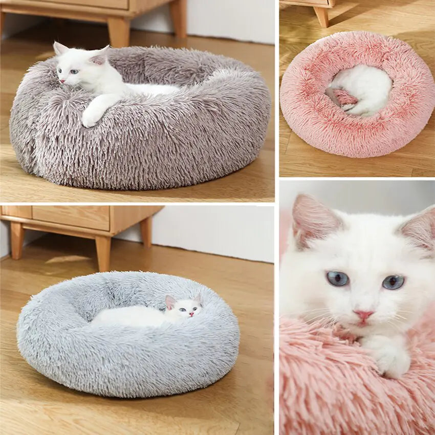 pet beds
dog beds
comfort for dogs
dog bed patterns
pet beds costco
cat bed diy
dog bed costco
diy cat bed
dog doughnut bed
dog bed doughnut
dog bed donut
dog donut bed
amazon dog bed
costco dog bed
dog bed at costco
costco dog beds
donut dog bed