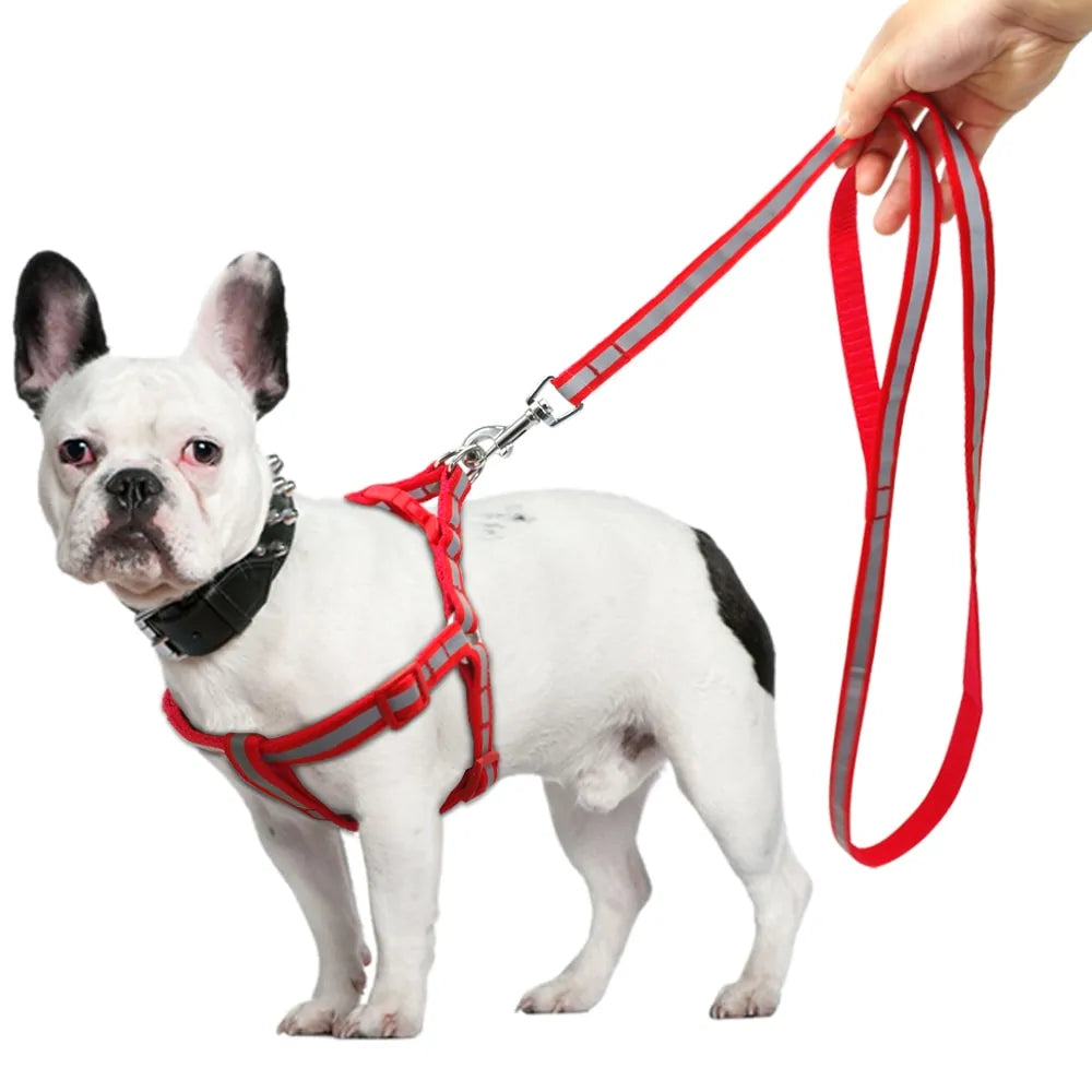 strap
pet
leash
harness
dog
collar and lead sets for dogs
dog leash collar set
dog leash and collar sets
dog collar and leash set
harness and leash set for dogs
harness and leash set
dog harness collar and leash set
dog collar harness and leash set
dog harness leash set
dog harness and leash set