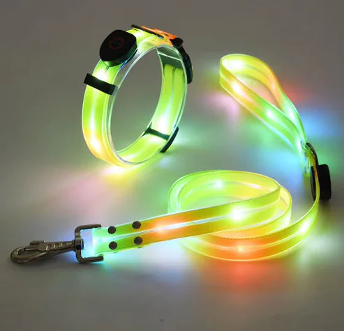 dog glow collars
glow collar dog
led dog collar
glow in the dark dog collar
led collar dog
dog light collar
lighted dog collar
light up collars for dogs
light up dog collar