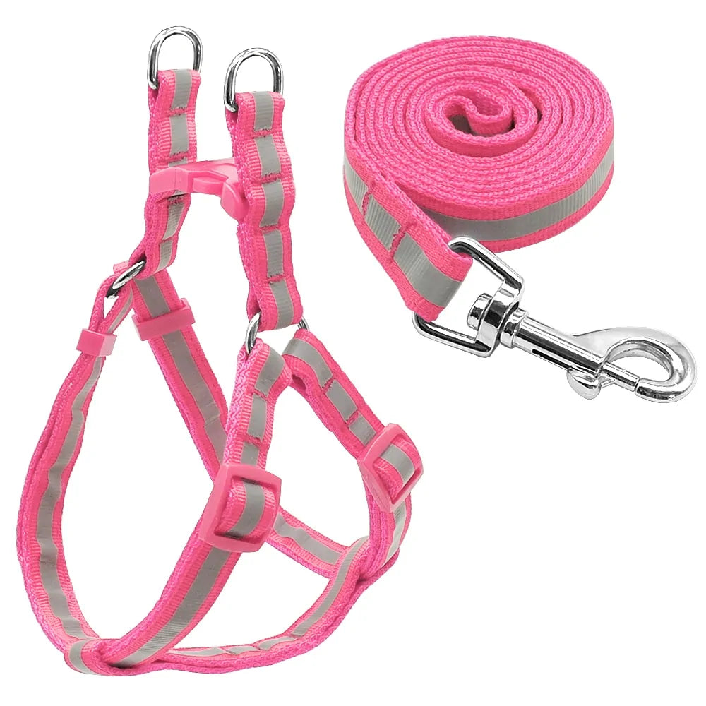 strap
pet
leash
harness
dog
collar and lead sets for dogs
dog leash collar set
dog leash and collar sets
dog collar and leash set
harness and leash set for dogs
harness and leash set
dog harness collar and leash set
dog collar harness and leash set
dog harness leash set
dog harness and leash set