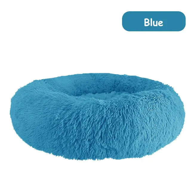 pet beds
dog beds
comfort for dogs
dog bed patterns
pet beds costco
cat bed diy
dog bed costco
diy cat bed
dog doughnut bed
dog bed doughnut
dog bed donut
dog donut bed
amazon dog bed
costco dog bed
dog bed at costco
costco dog beds
donut dog bed