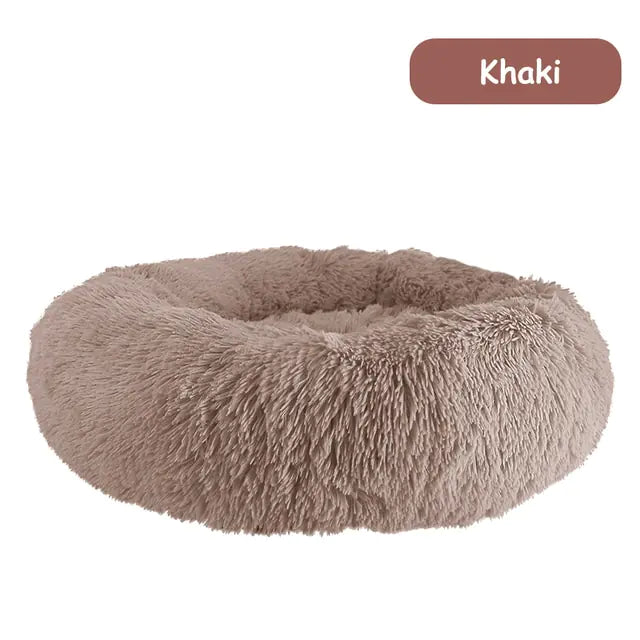 pet beds
dog beds
comfort for dogs
dog bed patterns
pet beds costco
cat bed diy
dog bed costco
diy cat bed
dog doughnut bed
dog bed doughnut
dog bed donut
dog donut bed
amazon dog bed
costco dog bed
dog bed at costco
costco dog beds
donut dog bed