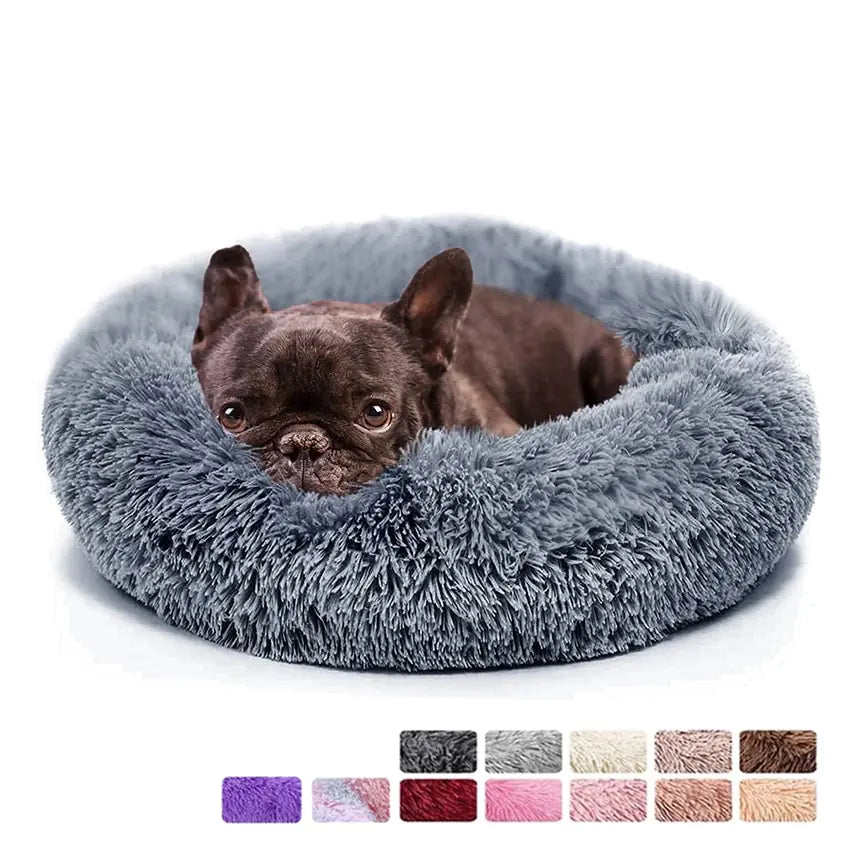 pet beds
dog beds
comfort for dogs
dog bed patterns
pet beds costco
cat bed diy
dog bed costco
diy cat bed
dog doughnut bed
dog bed doughnut
dog bed donut
dog donut bed
amazon dog bed
costco dog bed
dog bed at costco
costco dog beds
donut dog bed