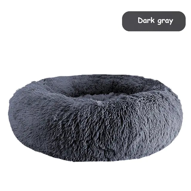 pet beds
dog beds
comfort for dogs
dog bed patterns
pet beds costco
cat bed diy
dog bed costco
diy cat bed
dog doughnut bed
dog bed doughnut
dog bed donut
dog donut bed
amazon dog bed
costco dog bed
dog bed at costco
costco dog beds
donut dog bed