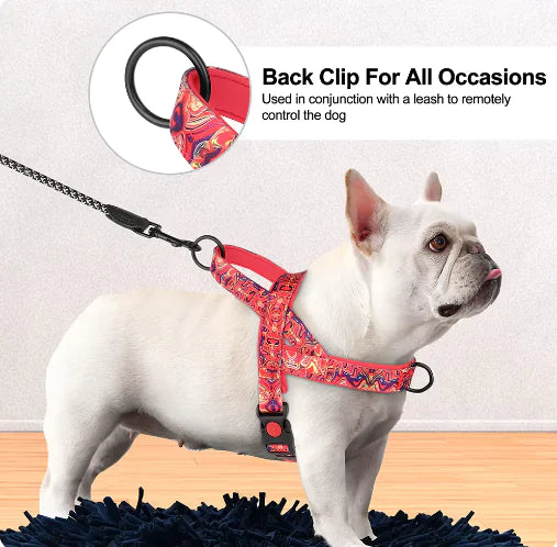 strap
pet
leash
harness
dog
collar and lead sets for dogs
dog leash collar set
dog leash and collar sets
dog collar and leash set
harness and leash set for dogs
harness and leash set
dog harness collar and leash set
dog collar harness and leash set
dog harness leash set
dog harness and leash set