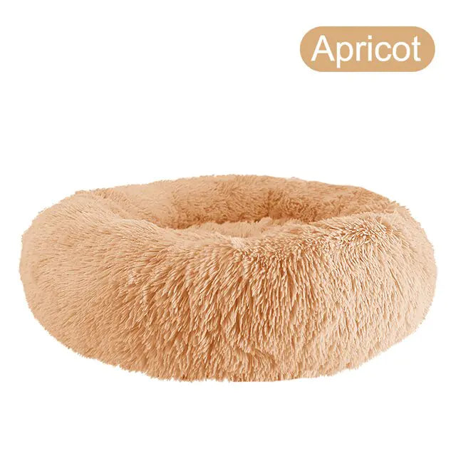 pet beds
dog beds
comfort for dogs
dog bed patterns
pet beds costco
cat bed diy
dog bed costco
diy cat bed
dog doughnut bed
dog bed doughnut
dog bed donut
dog donut bed
amazon dog bed
costco dog bed
dog bed at costco
costco dog beds
donut dog bed