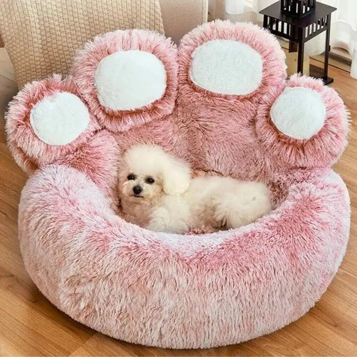 small dogs
cozy beds
beds
dog ramp for bed
stairs for dogs stairs for dogs
stair for dogs
puppy stairs for bed
dogs stairs
dog steps for beds
dog steps for bed
dog stairs for bed
dog bed stairs
dog bed steps
small dog bed