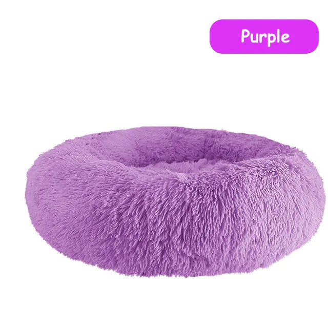 pet beds
dog beds
comfort for dogs
dog bed patterns
pet beds costco
cat bed diy
dog bed costco
diy cat bed
dog doughnut bed
dog bed doughnut
dog bed donut
dog donut bed
amazon dog bed
costco dog bed
dog bed at costco
costco dog beds
donut dog bed