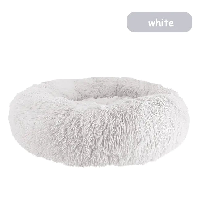 pet beds
dog beds
comfort for dogs
dog bed patterns
pet beds costco
cat bed diy
dog bed costco
diy cat bed
dog doughnut bed
dog bed doughnut
dog bed donut
dog donut bed
amazon dog bed
costco dog bed
dog bed at costco
costco dog beds
donut dog bed