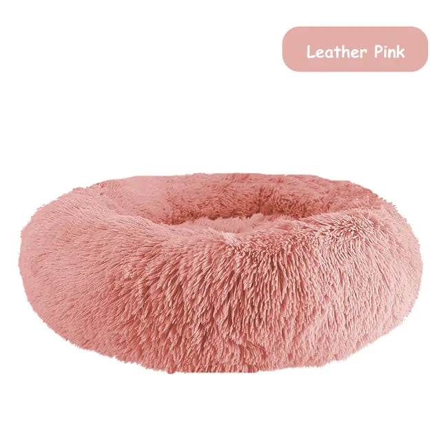 pet beds
dog beds
comfort for dogs
dog bed patterns
pet beds costco
cat bed diy
dog bed costco
diy cat bed
dog doughnut bed
dog bed doughnut
dog bed donut
dog donut bed
amazon dog bed
costco dog bed
dog bed at costco
costco dog beds
donut dog bed