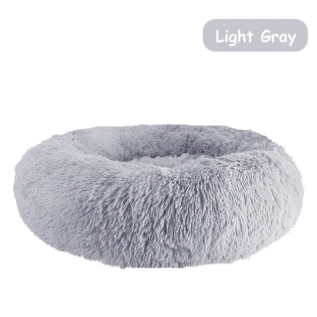 pet beds
dog beds
comfort for dogs
dog bed patterns
pet beds costco
cat bed diy
dog bed costco
diy cat bed
dog doughnut bed
dog bed doughnut
dog bed donut
dog donut bed
amazon dog bed
costco dog bed
dog bed at costco
costco dog beds
donut dog bed