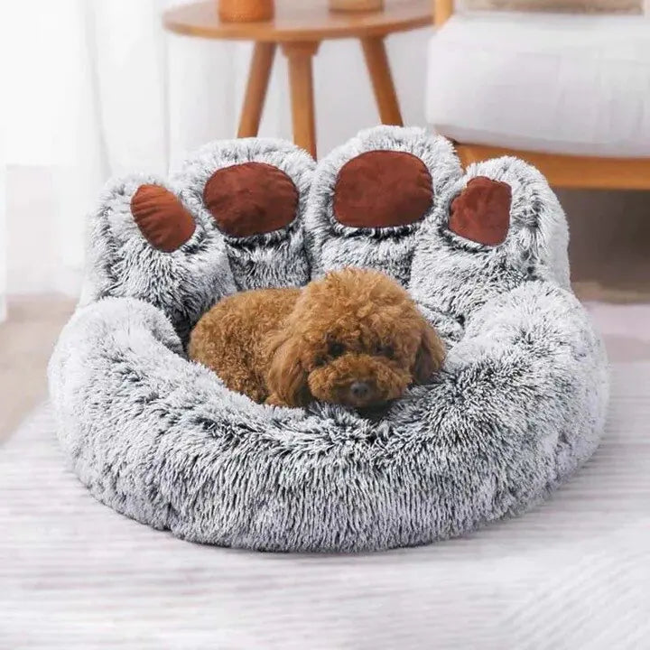 small dogs
cozy beds
beds
dog ramp for bed
stairs for dogs stairs for dogs
stair for dogs
puppy stairs for bed
dogs stairs
dog steps for beds
dog steps for bed
dog stairs for bed
dog bed stairs
dog bed steps
small dog bed