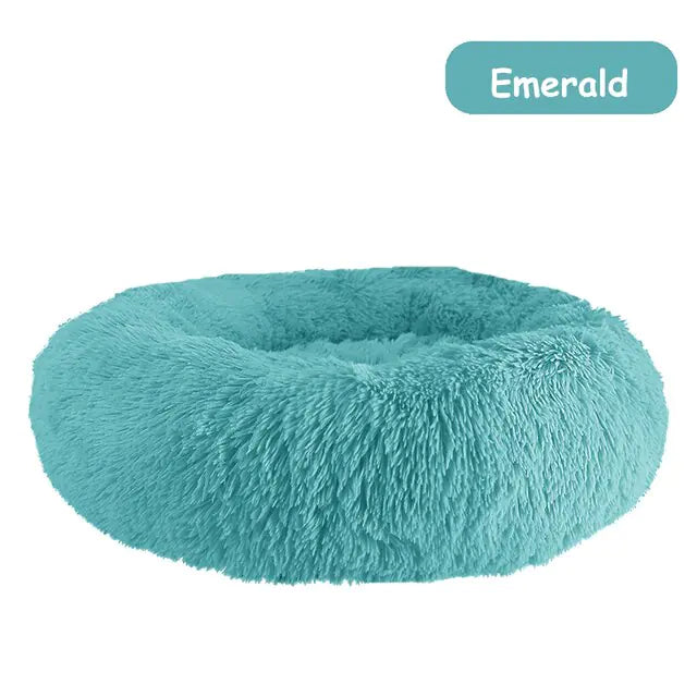 pet beds
dog beds
comfort for dogs
dog bed patterns
pet beds costco
cat bed diy
dog bed costco
diy cat bed
dog doughnut bed
dog bed doughnut
dog bed donut
dog donut bed
amazon dog bed
costco dog bed
dog bed at costco
costco dog beds
donut dog bed