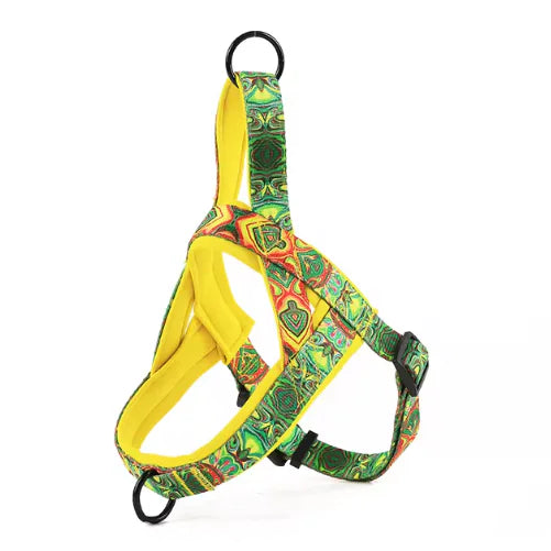 strap
pet
leash
harness
dog
collar and lead sets for dogs
dog leash collar set
dog leash and collar sets
dog collar and leash set
harness and leash set for dogs
harness and leash set
dog harness collar and leash set
dog collar harness and leash set
dog harness leash set
dog harness and leash set