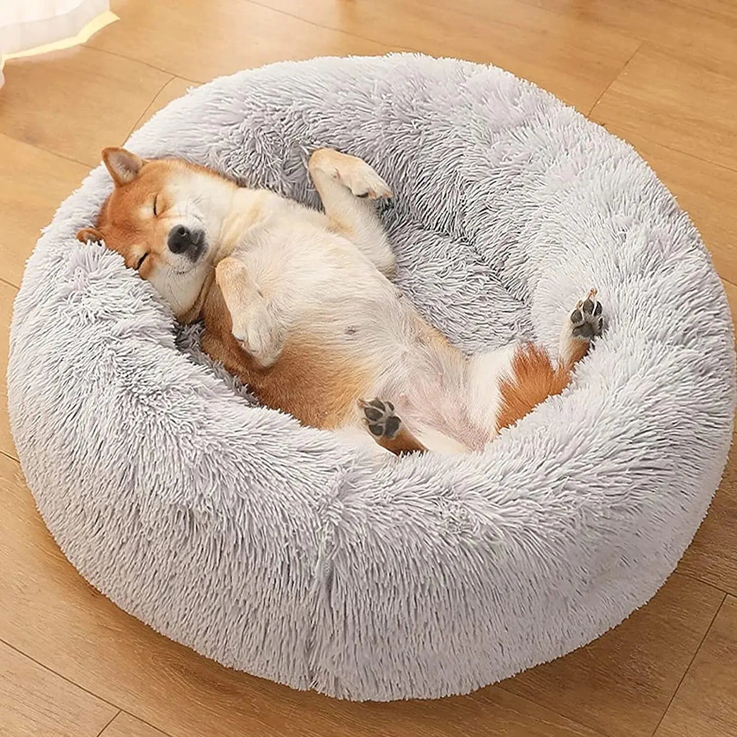 pet beds
dog beds
comfort for dogs
dog bed patterns
pet beds costco
cat bed diy
dog bed costco
diy cat bed
dog doughnut bed
dog bed doughnut
dog bed donut
dog donut bed
amazon dog bed
costco dog bed
dog bed at costco
costco dog beds
donut dog bed